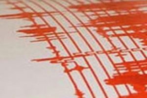 Van'da korkutan deprem