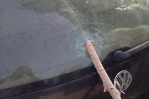 Park ettiği otomobilinin camından i&ccedil;eri ağa&ccedil; dalı girdi