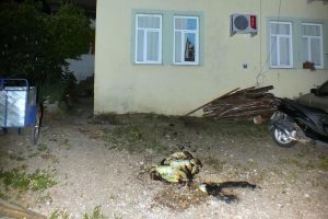 Marmaris'te havai fişek evi yakıyordu
