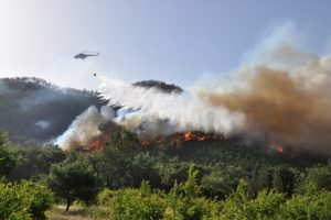 Orman yangınlarına m&uuml;dahale i&ccedil;in hazırlar