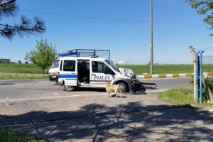 Tekirdağ'da trafik kazası: 3 polis yaralandı