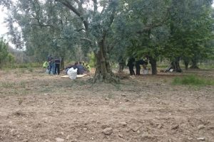 Bursa'da Roma d&ouml;neminden oda mezar bulundu&nbsp;