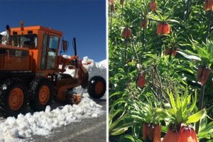 Van'da iki mevsim bir arada