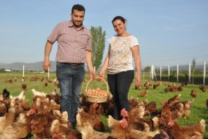 2 kardeş 3 tavukla girdiği işte markalaştı