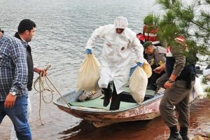 Muğla'da ormanlık alanda kadın cesedi bulundu