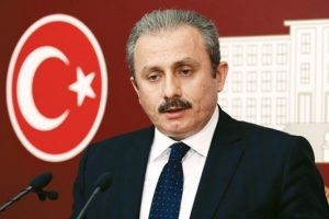 Şentop: Anayasa teklifimizde laiklik var