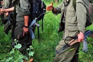 Muş'ta ter&ouml;r &ouml;rg&uuml;t&uuml; PKK'ya ağır darbe
