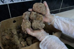 Damaklar bu kebabı 11 ay bekliyor