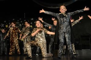 Şahinkayalı &ouml;ğrenciler efsane m&uuml;zikal 'Cats' ile b&uuml;y&uuml;ledi