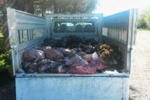 Diyarbakır'da 1 ton hayvansal &uuml;r&uuml;n ele ge&ccedil;irildi