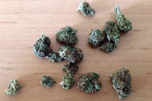 Tekirdağ'da 500 gram 'yeşil kokain' ele ge&ccedil;irildi