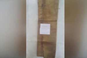 Balina derisine işlenmiş 600 yıllık Tevrat'ı satacaklardı