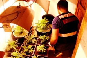 Villada hintkeneviri ile esrar ele ge&ccedil;irildi