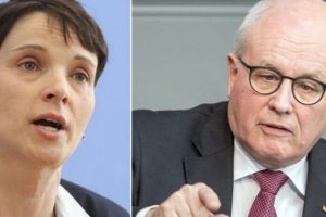 Petry: Minareler anayasaya aykırı