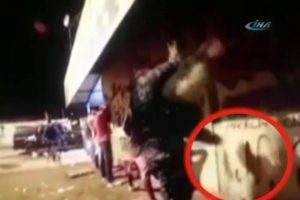 Polis şahsı b&ouml;yle 'silkeledi'