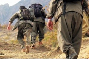 PKK'ya ağır darbe! Van b&ouml;lge sorumlusu &ouml;ld&uuml;r&uuml;ld&uuml;