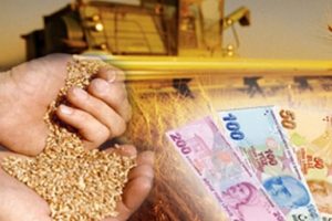 Gıdada yolsuzluğa karşı hibe projesi