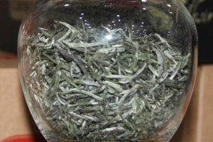 Doğu Karadeniz B&ouml;lgesi'nde beyaz &ccedil;ay sezonu a&ccedil;ılıyor