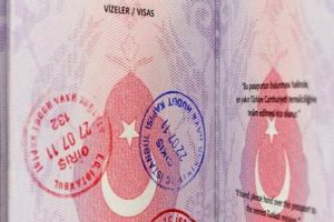 Bild: "AB, biyometrik pasaportları beklemeyecek"