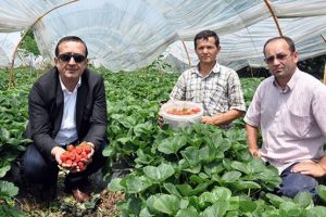 Bursa İneg&ouml;l &ccedil;ift&ccedil;isinin y&uuml;z&uuml; &ccedil;ilekle g&uuml;lecek
