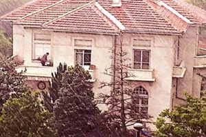 Tarihi k&ouml;şkte mangal keyfi &ccedil;evre sakinlerini &ccedil;ileden &ccedil;ıkardı!
