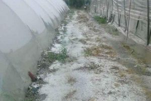 Muğla'da dolu s&uuml;rprizi