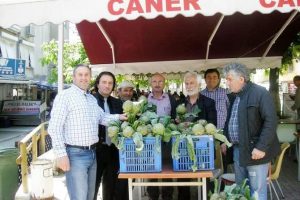 Osmanlı enginarları Bursa'da yeniden yaygınlaşıyor