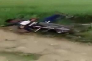 Buzağı, motosikletliye karşı