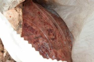 Edirne'de 875 kilogram ka&ccedil;ak et ele ge&ccedil;irildi