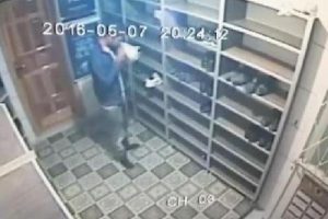 Camideki spor ayakkabıyı koklayıp &ccedil;aldı