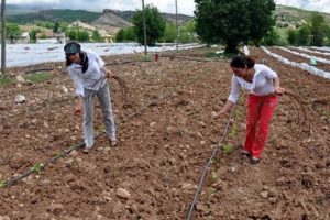 Ege'de &ouml;ğrendiler, Tunceli'de hayata ge&ccedil;irdiler