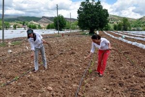 Mardinli kız kardeşler kendi işlerini kurdu