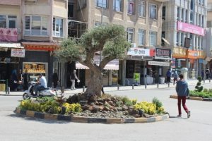 Kilis'te hayat normale d&ouml;n&uuml;yor