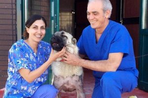 İtalyan profes&ouml;rden MAK&Uuml;'n&uuml;n k&ouml;peklerde bacak eğriliği projesine destek