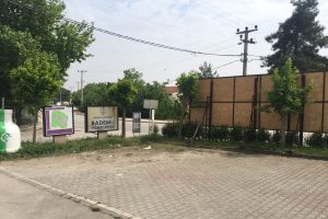 Bursa'da film gibi olay! Yılan korkusu koca mahalleyi hizmetsiz bıraktı