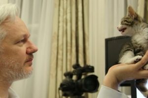 Wikileaks'ın kurucusu Julian Assange'a kedi arkadaş
