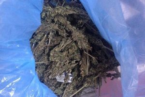 Otob&uuml;steki yolcu 510 gram esrarla yakalandı