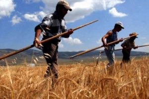 Gen&ccedil; &ccedil;ift&ccedil;iye hibe desteğinde son g&uuml;n 12 Mayıs Perşembe!