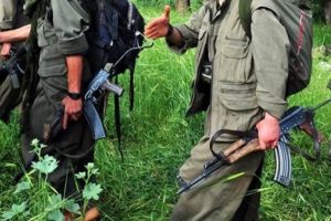 PKK'nın damarlarından biri daha kesildi
