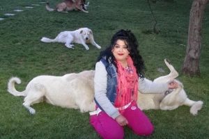 5 sokak k&ouml;peğine her akşam yiyecek taşıyor