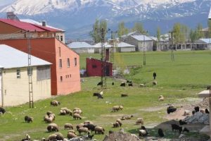 Y&uuml;ksekova'da temizlik &ccedil;alışması s&uuml;r&uuml;yor