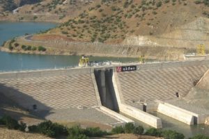 Akfen Yenilenebilir Enerji'ye iki ortak!