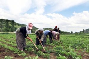 O destekten yararlanmak i&ccedil;in son tarih 30 Haziran