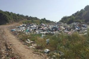 Zeytinliği &ccedil;&ouml;pl&uuml;ğe &ccedil;evirdiler