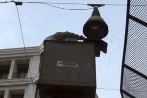 İstiklal Caddesi'nde arı operasyonu