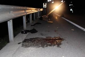 Seyir halindeki kamyonetten atılan kadın &ouml;ld&uuml;