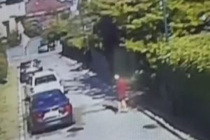 Komşusunun k&ouml;peğini &ouml;nce bayılttı sonra ka&ccedil;ırdı
