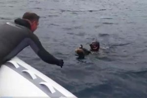 Yarışmayı bırakıp yaralı kuşun hayatını kurtardılar