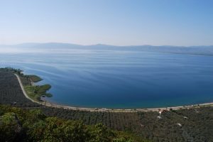 Zeytin atık suyu Bursa İznik G&ouml;l&uuml;'ne mi salınıyor?