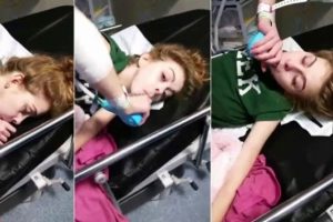 B&ouml;cek ısırdı, bu hale geldi: 'Beni intihar kliniğine yatırın'
